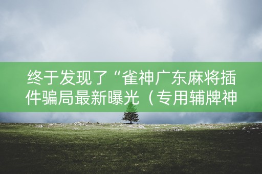 终于发现了“雀神广东麻将插件骗局最新曝光（专用辅牌神器免安装）
