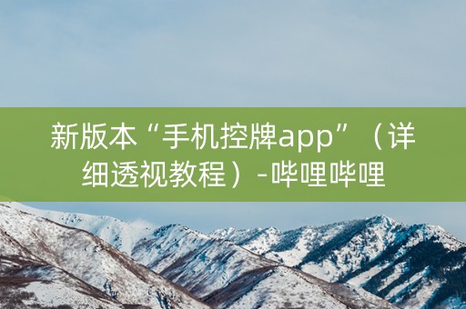 新版本“手机控牌app”（详细透视教程）-哔哩哔哩
