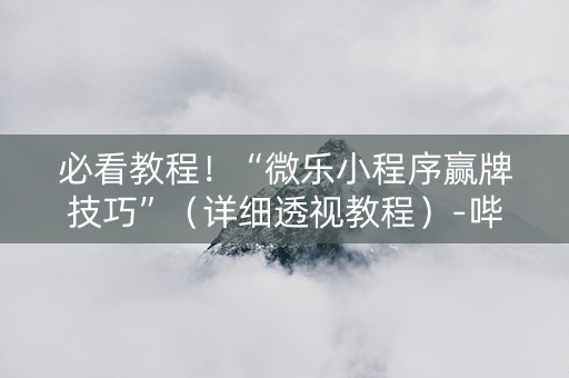 必看教程！“微乐小程序赢牌技巧”（详细透视教程）-哔哩哔哩