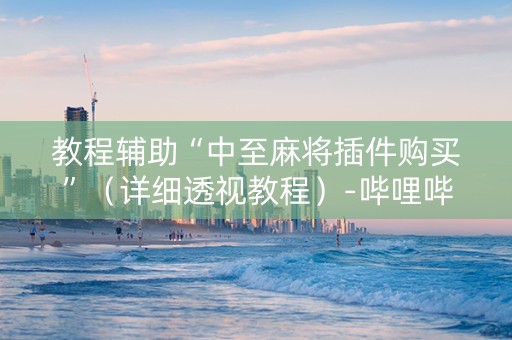 教程辅助“中至麻将插件购买”（详细透视教程）-哔哩哔哩