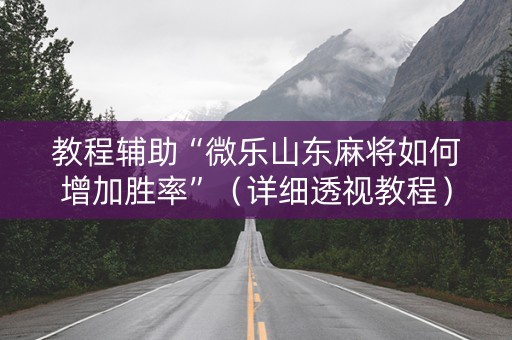 教程辅助“微乐山东麻将如何增加胜率”（详细透视教程）-哔哩哔哩