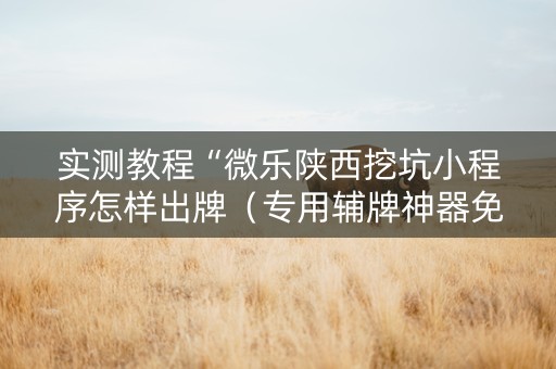 实测教程“微乐陕西挖坑小程序怎样出牌（专用辅牌神器免安装）