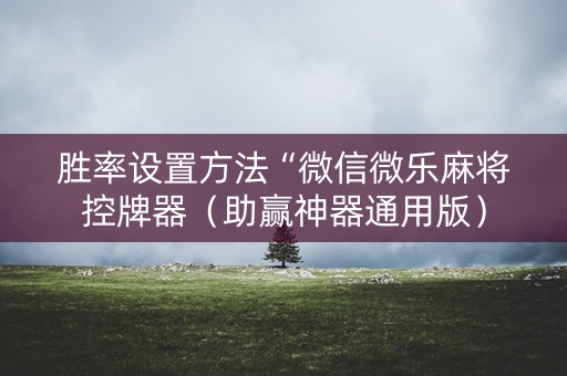 胜率设置方法“微信微乐麻将控牌器（助赢神器通用版）