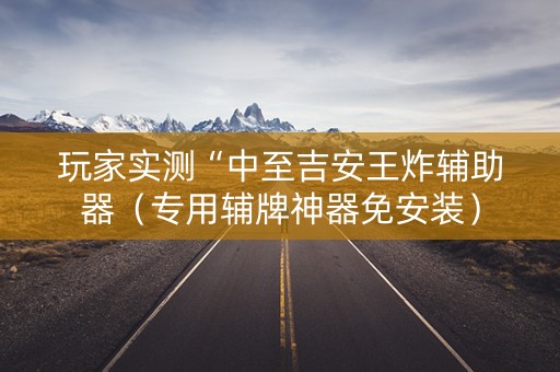 玩家实测“中至吉安王炸辅助器（专用辅牌神器免安装）