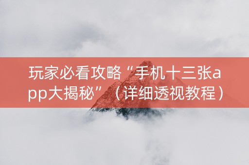 玩家必看攻略“手机十三张app大揭秘”（详细透视教程）-哔哩哔哩