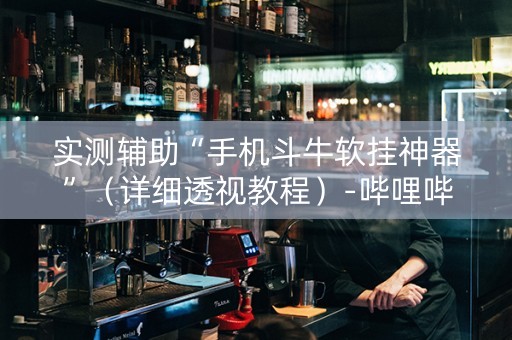 实测辅助“手机斗牛软挂神器”（详细透视教程）-哔哩哔哩