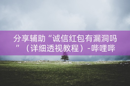 分享辅助“诚信红包有漏洞吗”（详细透视教程）-哔哩哔哩