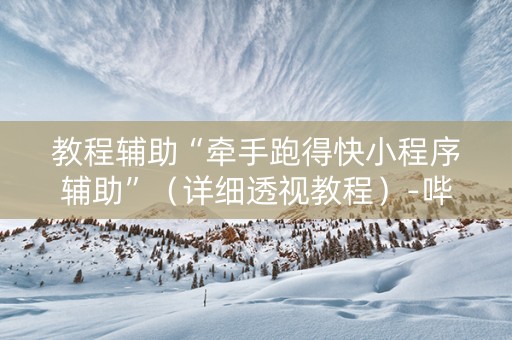 教程辅助“牵手跑得快小程序辅助”（详细透视教程）-哔哩哔哩