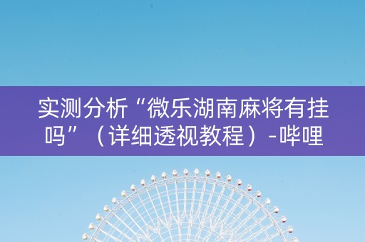 实测分析“微乐湖南麻将有挂吗”（详细透视教程）-哔哩哔哩