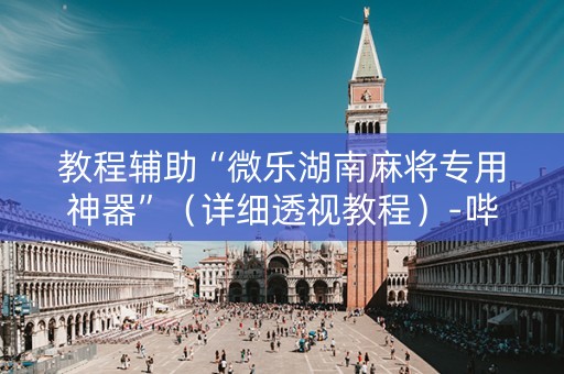 教程辅助“微乐湖南麻将专用神器”（详细透视教程）-哔哩哔哩
