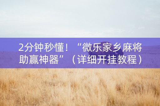 2分钟秒懂！“微乐家乡麻将助赢神器”（详细开挂教程）-哔哩哔哩