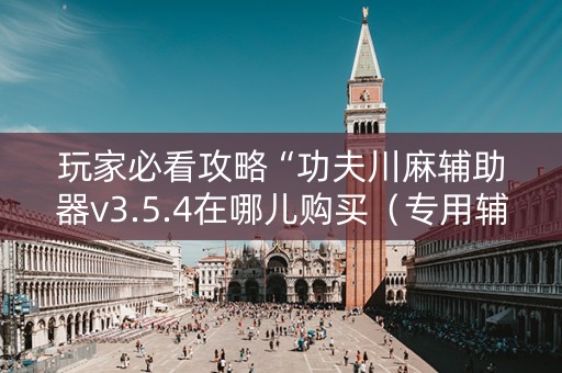 玩家必看攻略“功夫川麻辅助器v3.5.4在哪儿购买（专用辅牌神器免安装）