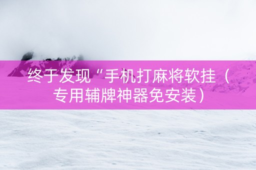 终于发现“手机打麻将软挂（专用辅牌神器免安装）