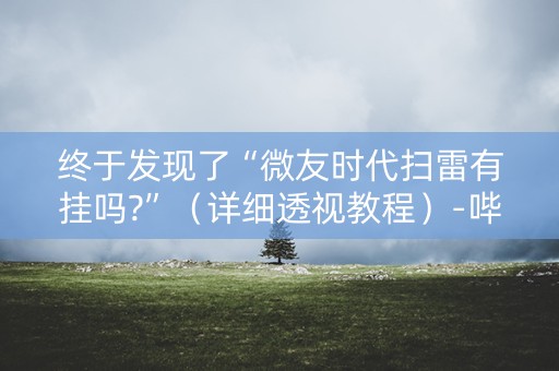 终于发现了“微友时代扫雷有挂吗?”（详细透视教程）-哔哩哔哩