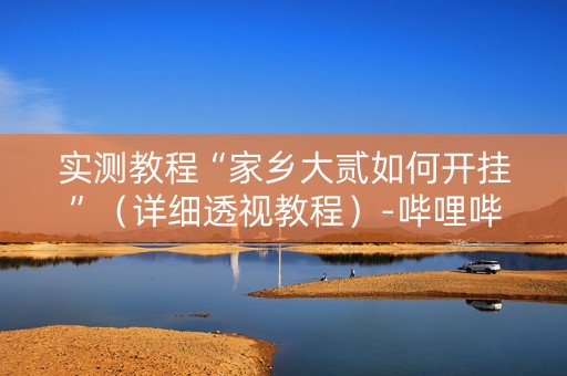 实测教程“家乡大贰如何开挂”（详细透视教程）-哔哩哔哩