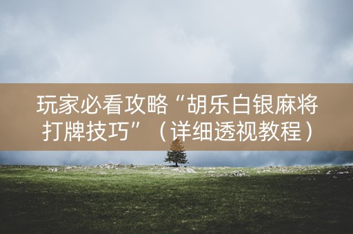 玩家必看攻略“胡乐白银麻将打牌技巧”（详细透视教程）-哔哩哔哩