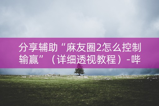分享辅助“麻友圈2怎么控制输赢”（详细透视教程）-哔哩哔哩