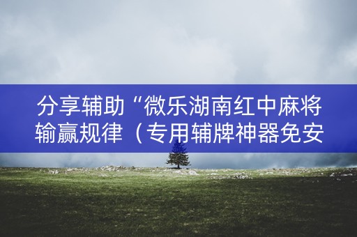 分享辅助“微乐湖南红中麻将输赢规律（专用辅牌神器免安装）