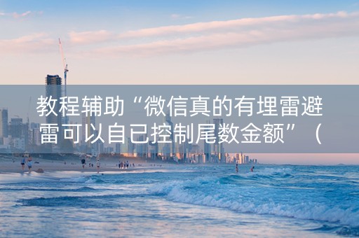 教程辅助“微信真的有埋雷避雷可以自已控制尾数金额”（详细透视教程）-哔哩哔哩