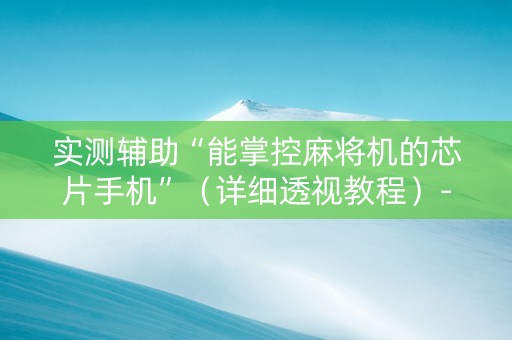 实测辅助“能掌控麻将机的芯片手机”（详细透视教程）-哔哩哔哩