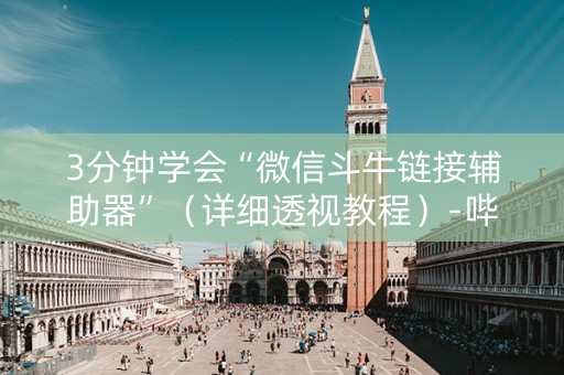 3分钟学会“微信斗牛链接辅助器”（详细透视教程）-哔哩哔哩