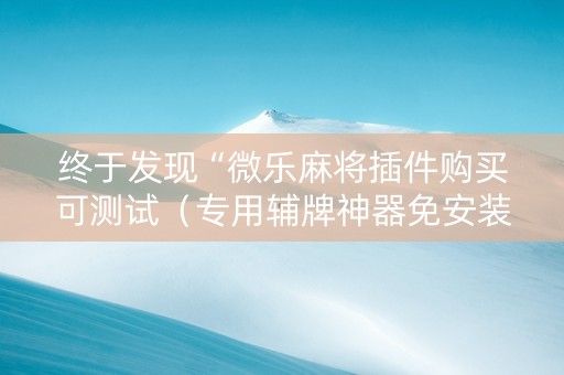 终于发现“微乐麻将插件购买可测试（专用辅牌神器免安装）