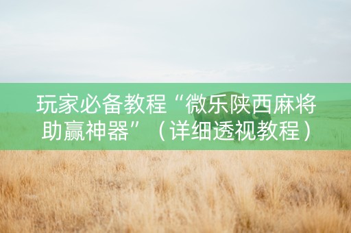 玩家必备教程“微乐陕西麻将助赢神器”（详细透视教程）-哔哩哔哩