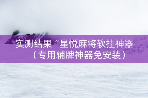 实测结果“星悦麻将软挂神器（专用辅牌神器免安装）