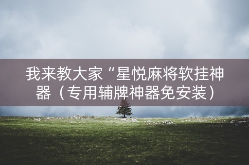 我来教大家“星悦麻将软挂神器（专用辅牌神器免安装）
