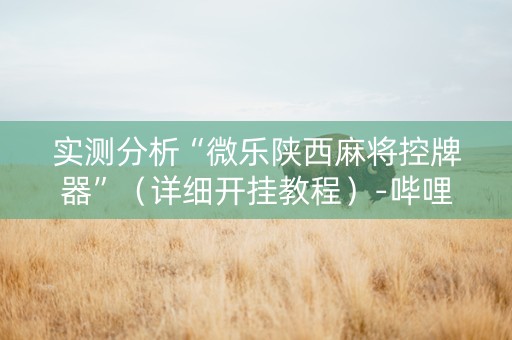 实测分析“微乐陕西麻将控牌器”（详细开挂教程）-哔哩哔哩