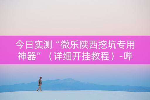 今日实测“微乐陕西挖坑专用神器”（详细开挂教程）-哔哩哔哩