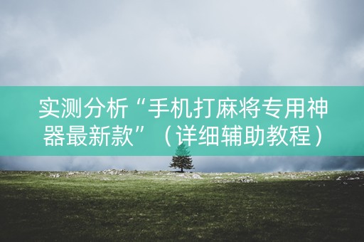 实测分析“手机打麻将专用神器最新款”（详细辅助教程）-哔哩哔哩