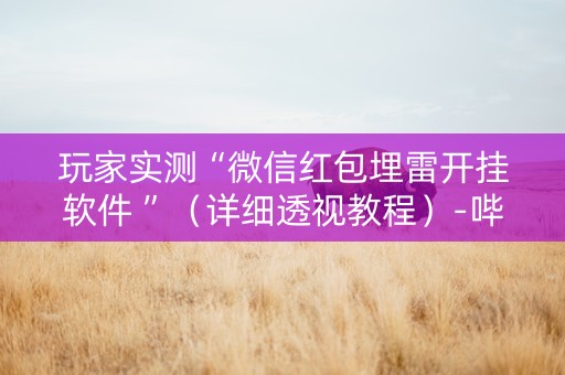 玩家实测“微信红包埋雷开挂软件 ”（详细透视教程）-哔哩哔哩