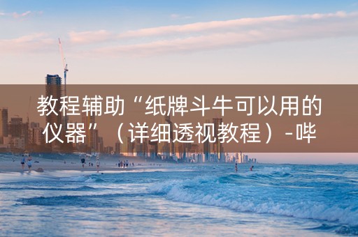 教程辅助“纸牌斗牛可以用的仪器”（详细透视教程）-哔哩哔哩