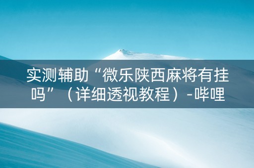 实测辅助“微乐陕西麻将有挂吗”（详细透视教程）-哔哩哔哩