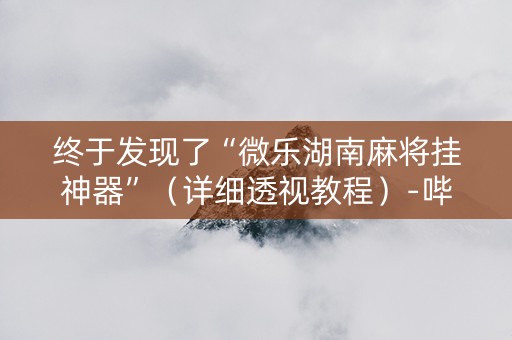 终于发现了“微乐湖南麻将挂神器”（详细透视教程）-哔哩哔哩