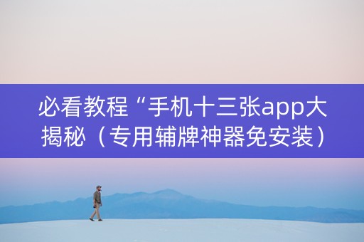 必看教程“手机十三张app大揭秘（专用辅牌神器免安装）