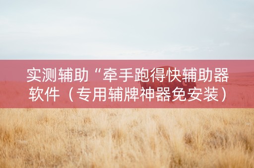 实测辅助“牵手跑得快辅助器软件（专用辅牌神器免安装）