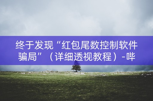 终于发现“红包尾数控制软件骗局”（详细透视教程）-哔哩哔哩