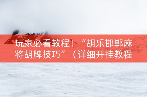 玩家必看教程！“胡乐邯郸麻将胡牌技巧”（详细开挂教程）-哔哩哔哩