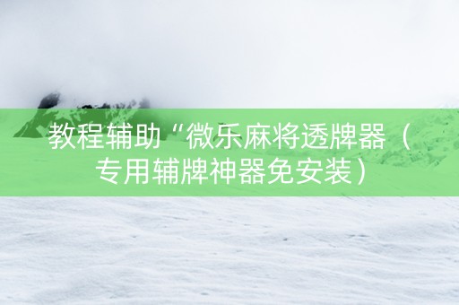 教程辅助“微乐麻将透牌器（专用辅牌神器免安装）
