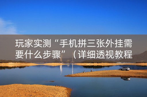 玩家实测“手机拼三张外挂需要什么步骤”（详细透视教程）-哔哩哔哩