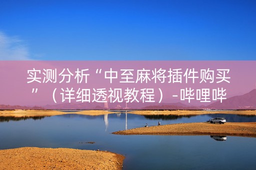 实测分析“中至麻将插件购买”（详细透视教程）-哔哩哔哩