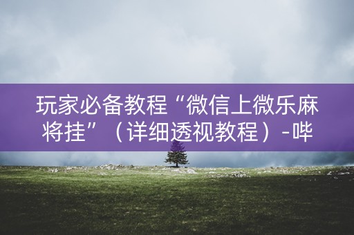 玩家必备教程“微信上微乐麻将挂”（详细透视教程）-哔哩哔哩