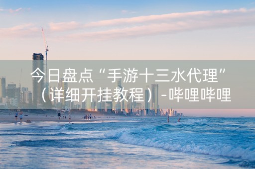 今日盘点“手游十三水代理”（详细开挂教程）-哔哩哔哩