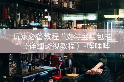 玩家必备教程“支付宝红包挂”（详细透视教程）-哔哩哔哩