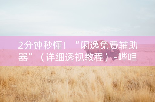 2分钟秒懂！“闲逸免费辅助器”（详细透视教程）-哔哩哔哩