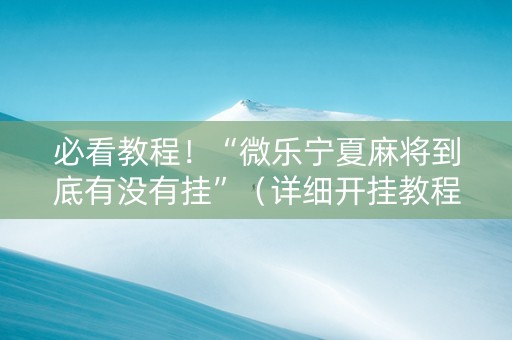 必看教程！“微乐宁夏麻将到底有没有挂”（详细开挂教程）-哔哩哔哩