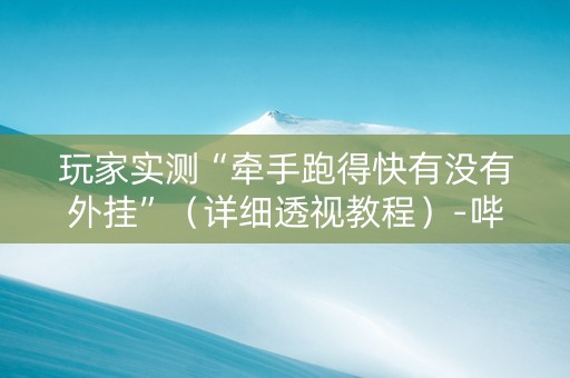 玩家实测“牵手跑得快有没有外挂”（详细透视教程）-哔哩哔哩