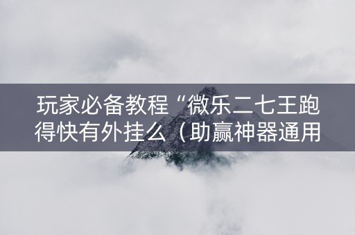 玩家必备教程“微乐二七王跑得快有外挂么（助赢神器通用版）